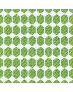 Fern