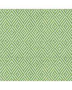 Fern