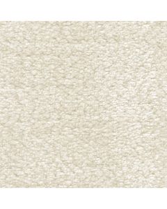 White Dove