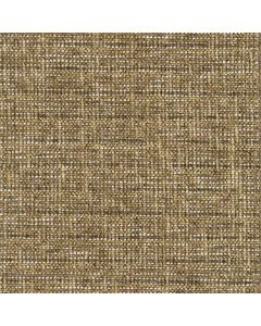Cornsilk