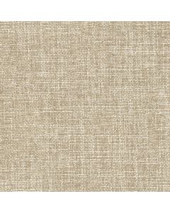 Birch