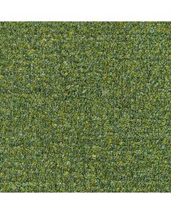 Moss