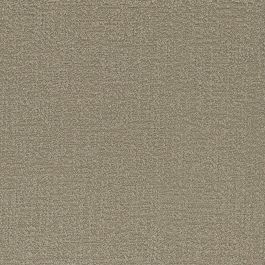 BOUCLE DELIGHT