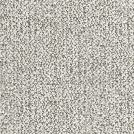 Silicon