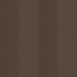 Cocoa