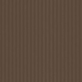 Cocoa