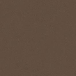 Cocoa