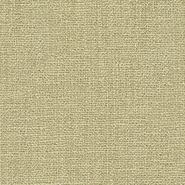Light Olive