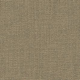 Mocha