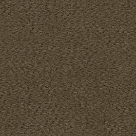 Umber