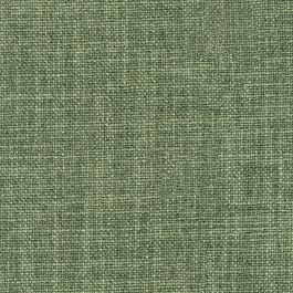 Seagrass