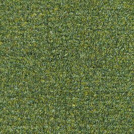 Moss