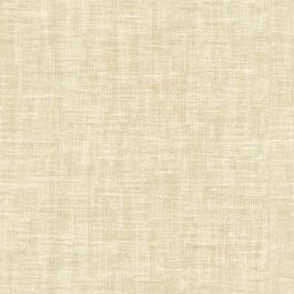 Cotton White