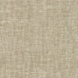 Pale Khaki